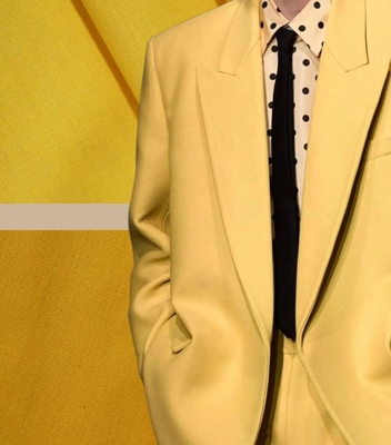 5% шерсти 2% тенцеля 2% спандекса 2% кислоты 73% полиэстера и 15% ткани Rayon Blazer