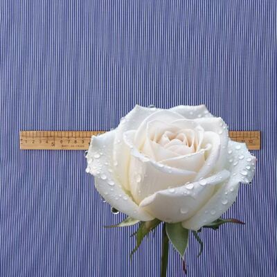 Прочная хлопчатобумажная ткань в полоску с крашеным переплетением для форменных рубашек 110 г/м²